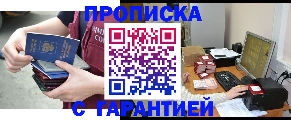 прописка законно в Борзе